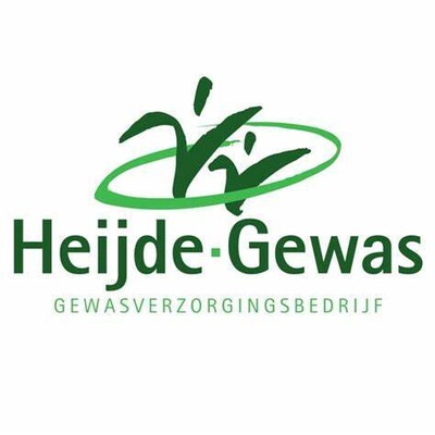 image Heijde-Gewas 