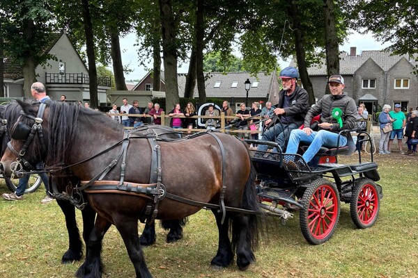 Dag van het paard