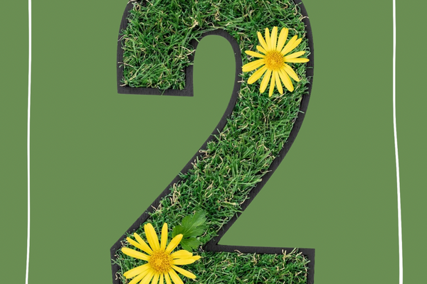 𝓝𝓲𝓮𝓾𝔀𝓮 𝓱𝓲𝓷𝓽