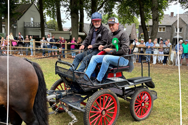 Dag van het paard